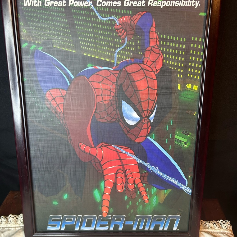 Spider-Man Framed Poster